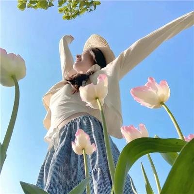 蜂群第一季